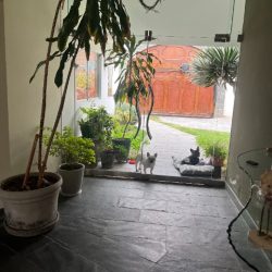 CASA en ALQUILER VENTA en CHORRILLOS - 2 - 012